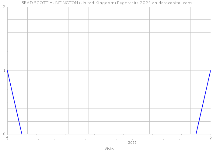 BRAD SCOTT HUNTINGTON (United Kingdom) Page visits 2024 