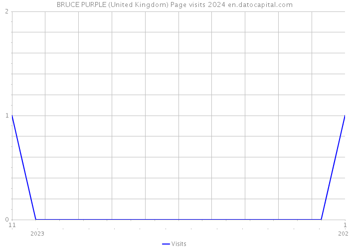 BRUCE PURPLE (United Kingdom) Page visits 2024 
