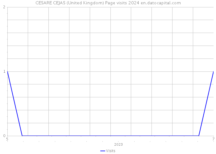 CESARE CEJAS (United Kingdom) Page visits 2024 