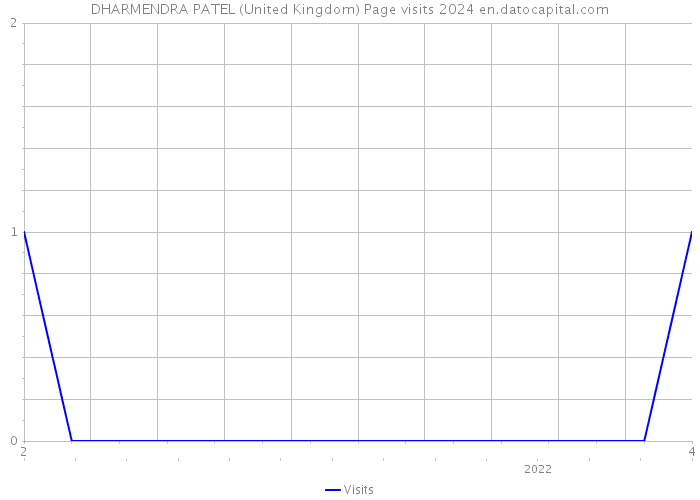 DHARMENDRA PATEL (United Kingdom) Page visits 2024 