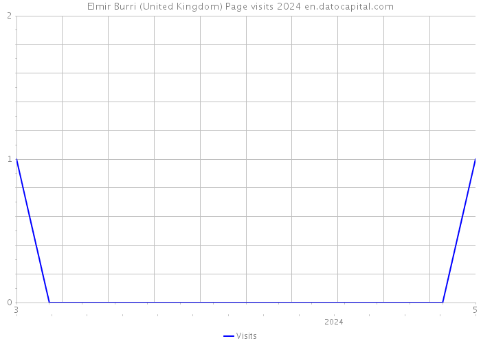 Elmir Burri (United Kingdom) Page visits 2024 