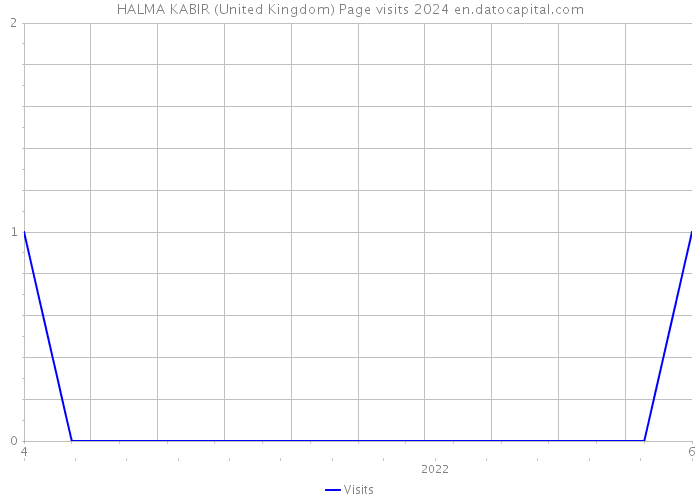 HALMA KABIR (United Kingdom) Page visits 2024 
