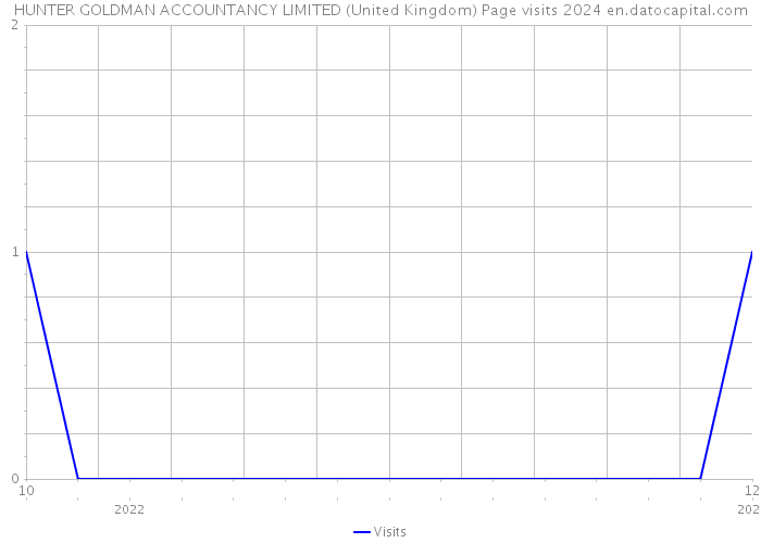 HUNTER GOLDMAN ACCOUNTANCY LIMITED (United Kingdom) Page visits 2024 