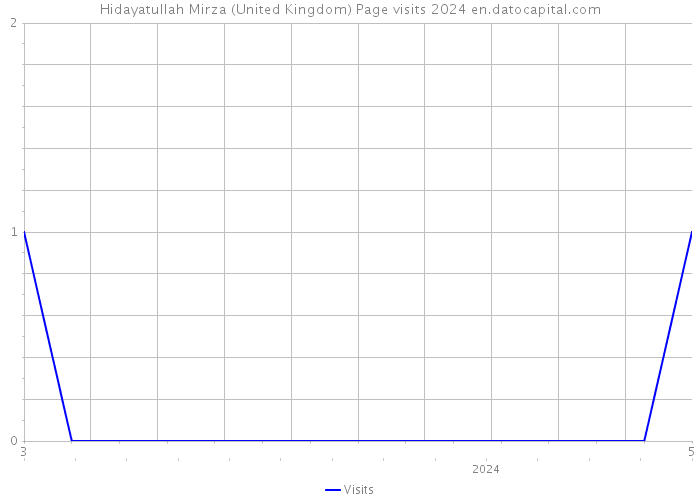 Hidayatullah Mirza (United Kingdom) Page visits 2024 