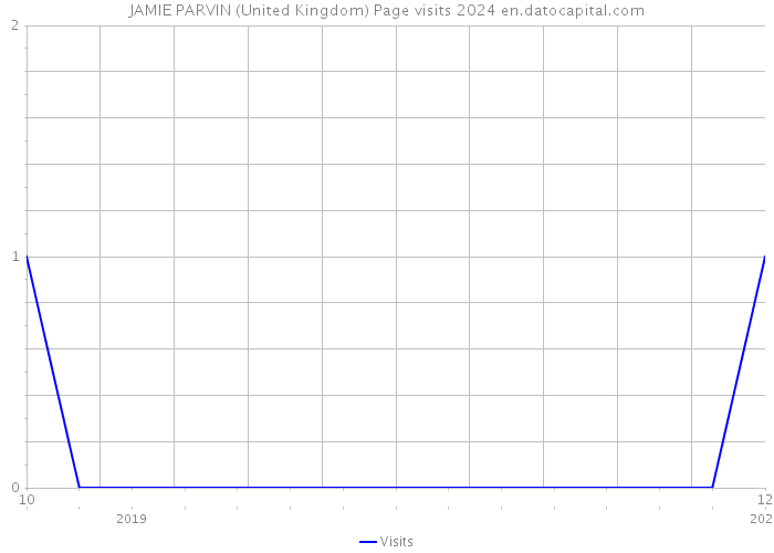 JAMIE PARVIN (United Kingdom) Page visits 2024 