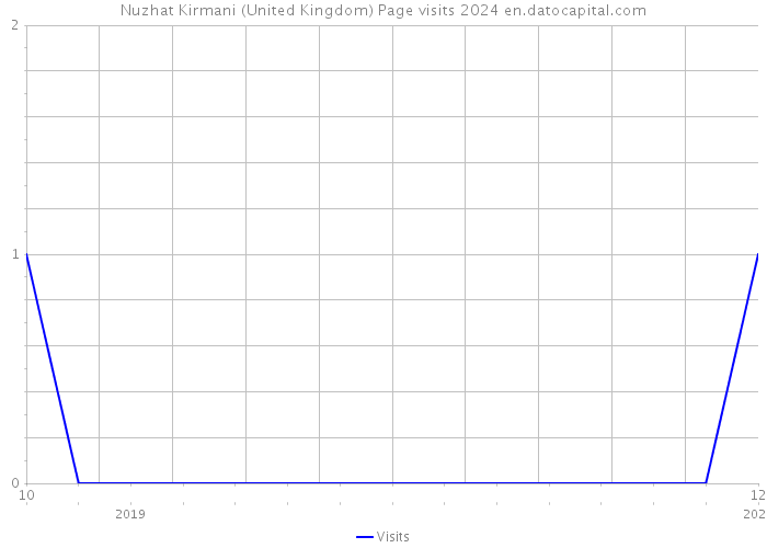 Nuzhat Kirmani (United Kingdom) Page visits 2024 