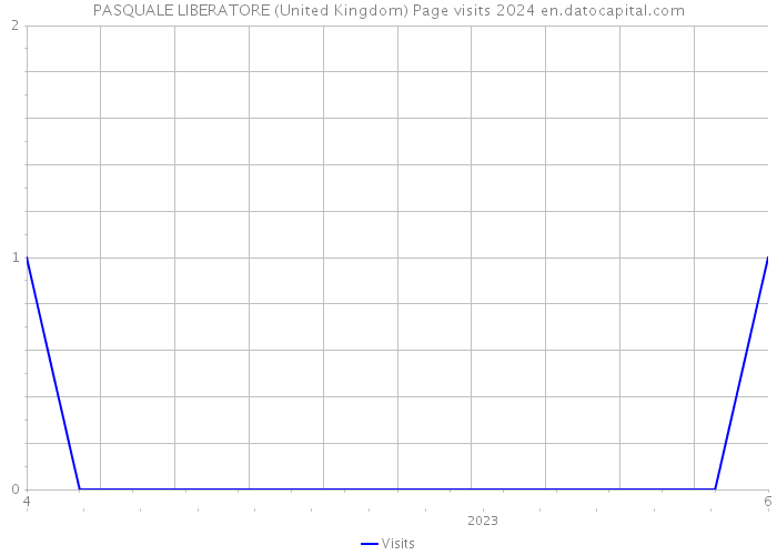 PASQUALE LIBERATORE (United Kingdom) Page visits 2024 