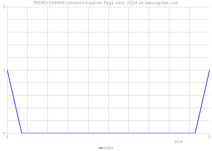 PEDRO DAMME (United Kingdom) Page visits 2024 
