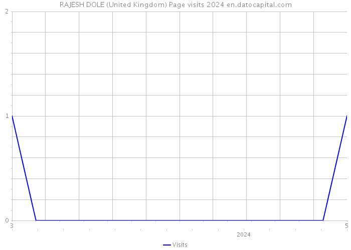RAJESH DOLE (United Kingdom) Page visits 2024 
