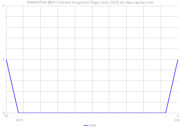 SAMANTHA BRAY (United Kingdom) Page visits 2024 