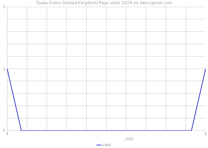 Tadas Kiskis (United Kingdom) Page visits 2024 