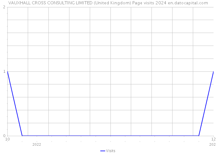 VAUXHALL CROSS CONSULTING LIMITED (United Kingdom) Page visits 2024 