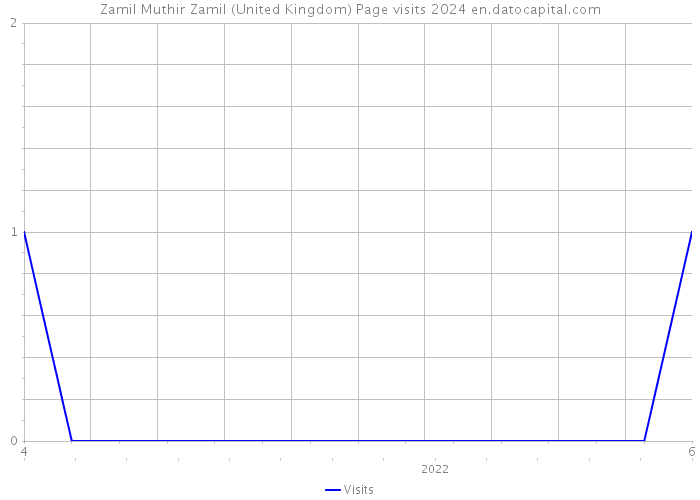 Zamil Muthir Zamil (United Kingdom) Page visits 2024 