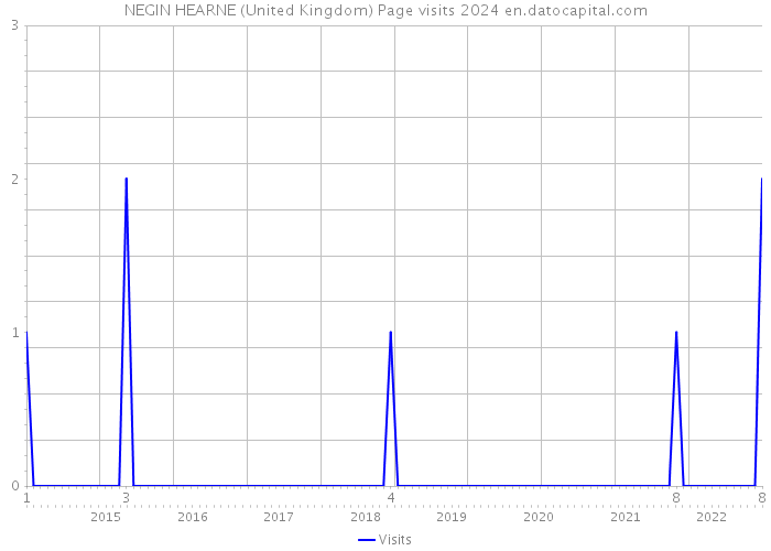 NEGIN HEARNE (United Kingdom) Page visits 2024 