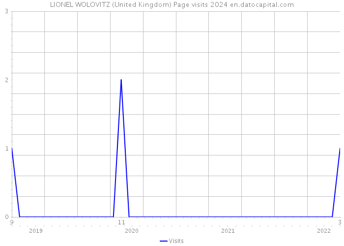 LIONEL WOLOVITZ (United Kingdom) Page visits 2024 
