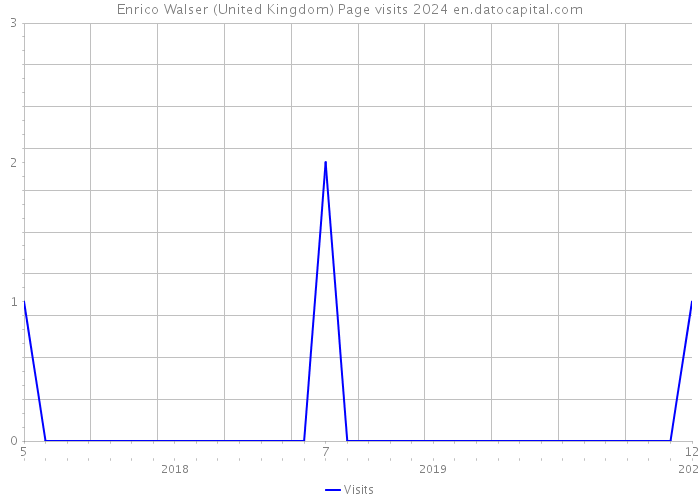 Enrico Walser (United Kingdom) Page visits 2024 