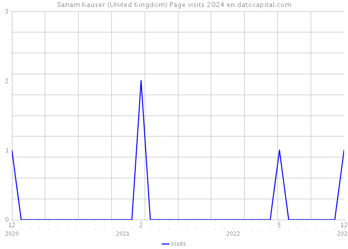 Sanam Kauser (United Kingdom) Page visits 2024 