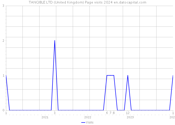 TANGIBLE LTD (United Kingdom) Page visits 2024 