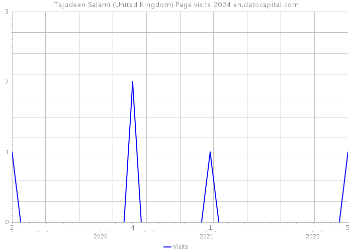 Tajudeen Salami (United Kingdom) Page visits 2024 