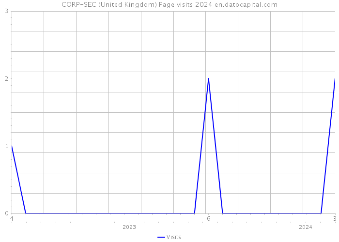 CORP-SEC (United Kingdom) Page visits 2024 