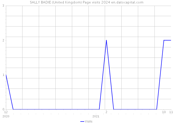 SALLY BADIE (United Kingdom) Page visits 2024 