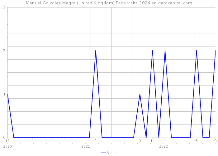 Manuel Goicolea Magra (United Kingdom) Page visits 2024 