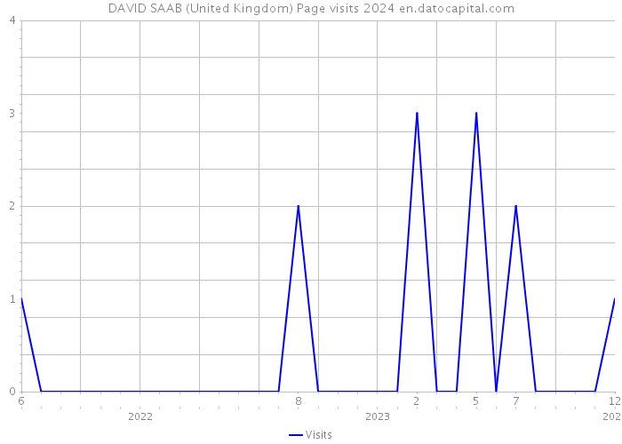 DAVID SAAB (United Kingdom) Page visits 2024 