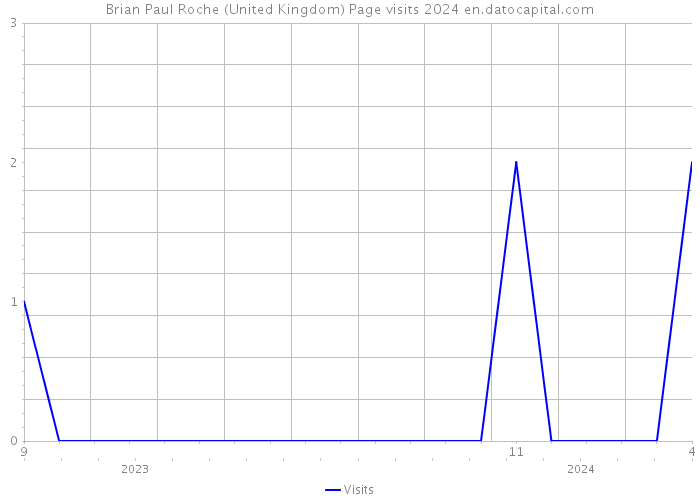 Brian Paul Roche (United Kingdom) Page visits 2024 