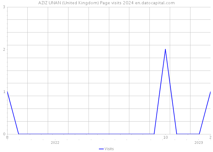AZIZ UNAN (United Kingdom) Page visits 2024 