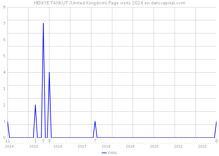 HENIYE TANKUT (United Kingdom) Page visits 2024 