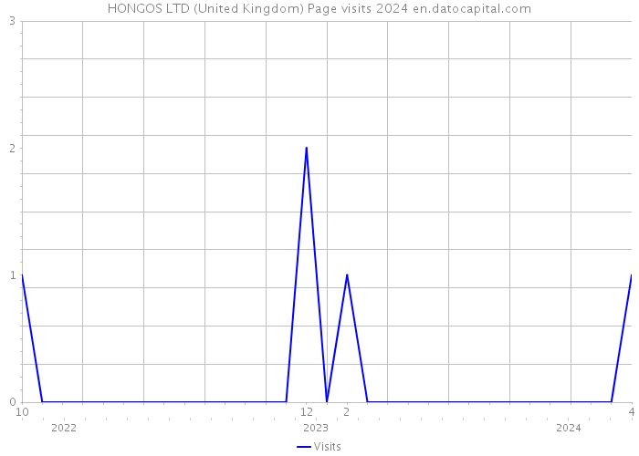 HONGOS LTD (United Kingdom) Page visits 2024 