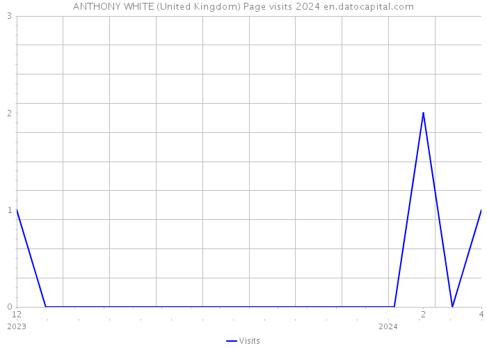 ANTHONY WHITE (United Kingdom) Page visits 2024 