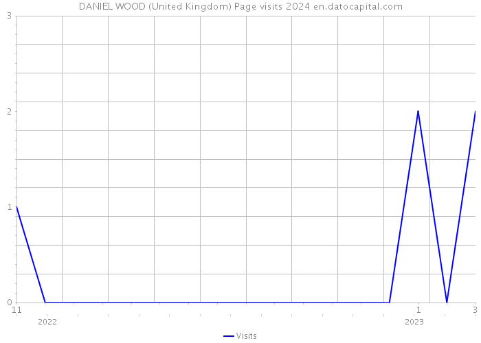 DANIEL WOOD (United Kingdom) Page visits 2024 