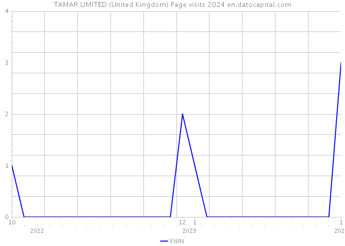 TAMAR LIMITED (United Kingdom) Page visits 2024 