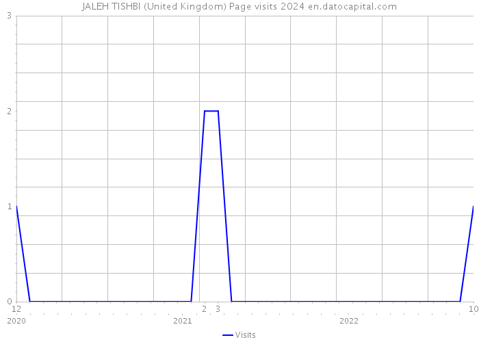 JALEH TISHBI (United Kingdom) Page visits 2024 
