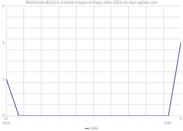 MADALINA BUCICA (United Kingdom) Page visits 2024 
