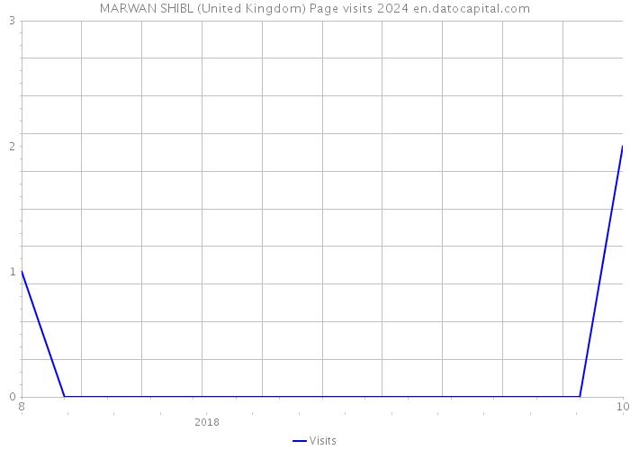 MARWAN SHIBL (United Kingdom) Page visits 2024 