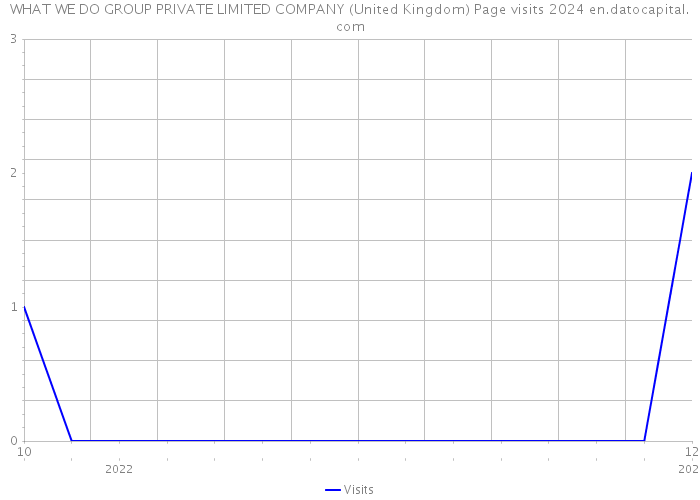 WHAT WE DO GROUP PRIVATE LIMITED COMPANY (United Kingdom) Page visits 2024 