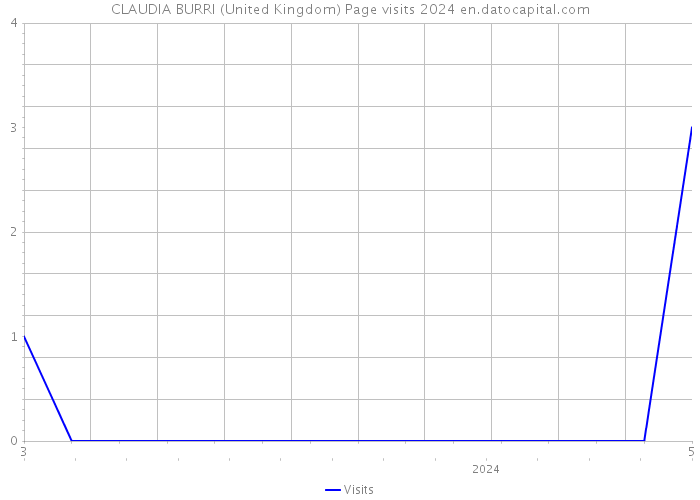 CLAUDIA BURRI (United Kingdom) Page visits 2024 