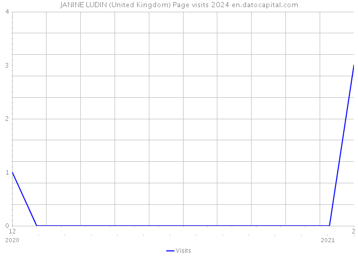 JANINE LUDIN (United Kingdom) Page visits 2024 