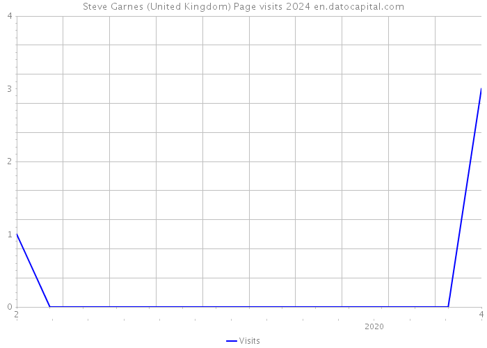 Steve Garnes (United Kingdom) Page visits 2024 