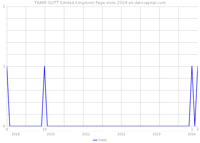 TAMIR GUTT (United Kingdom) Page visits 2024 