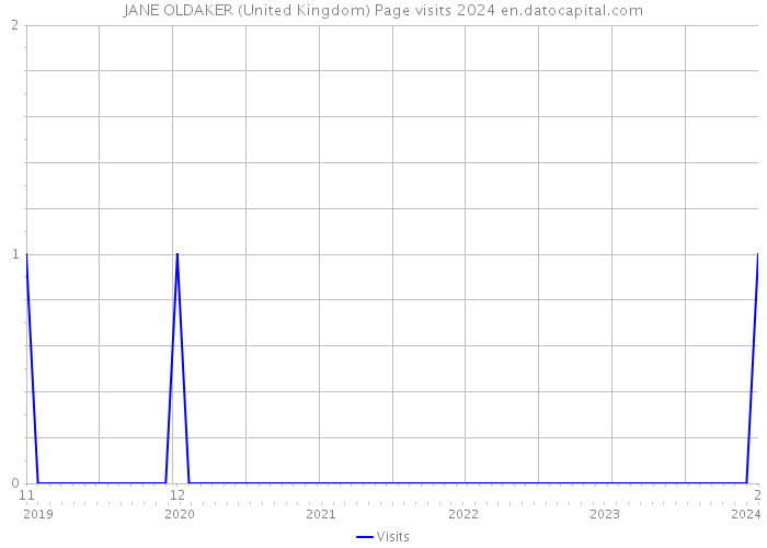 JANE OLDAKER (United Kingdom) Page visits 2024 