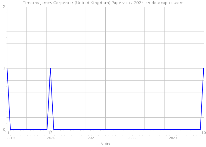 Timothy James Carpenter (United Kingdom) Page visits 2024 
