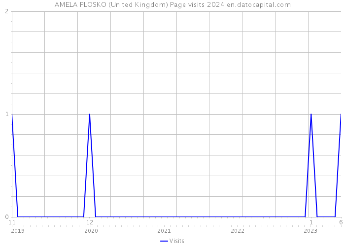 AMELA PLOSKO (United Kingdom) Page visits 2024 