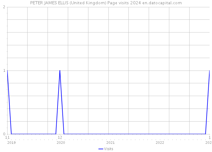 PETER JAMES ELLIS (United Kingdom) Page visits 2024 