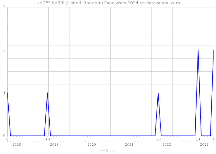 NAGES KARRI (United Kingdom) Page visits 2024 