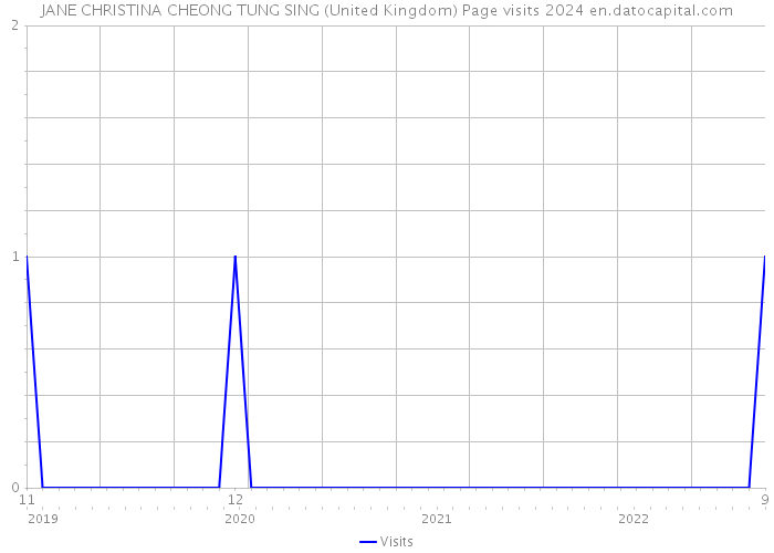 JANE CHRISTINA CHEONG TUNG SING (United Kingdom) Page visits 2024 