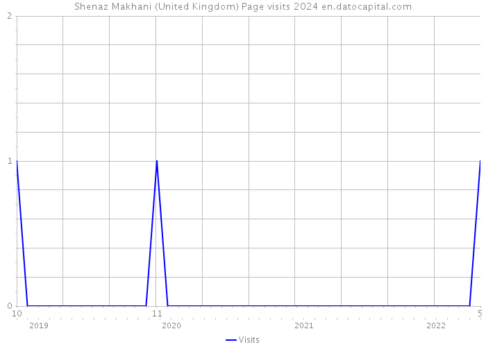 Shenaz Makhani (United Kingdom) Page visits 2024 
