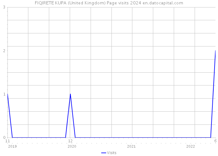 FIQIRETE KUPA (United Kingdom) Page visits 2024 